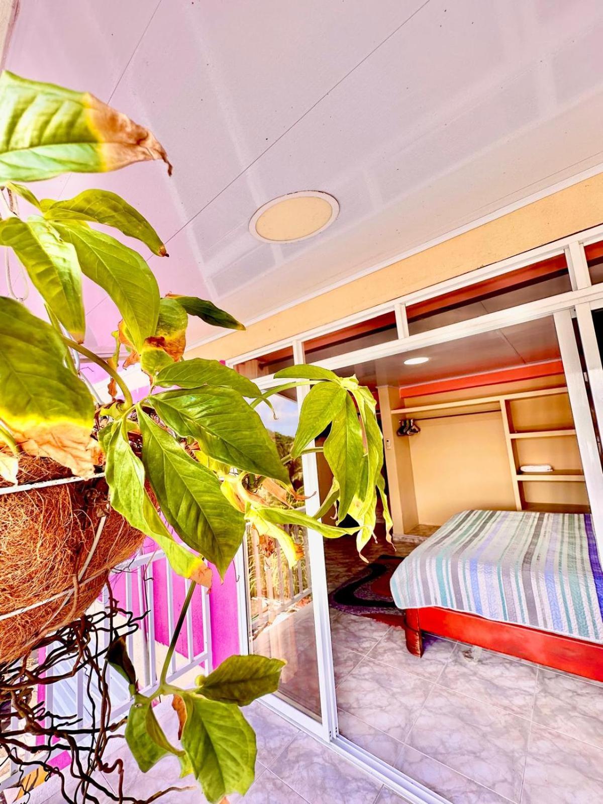 Posada Seven Colours Ocean Providencia  Exterior photo